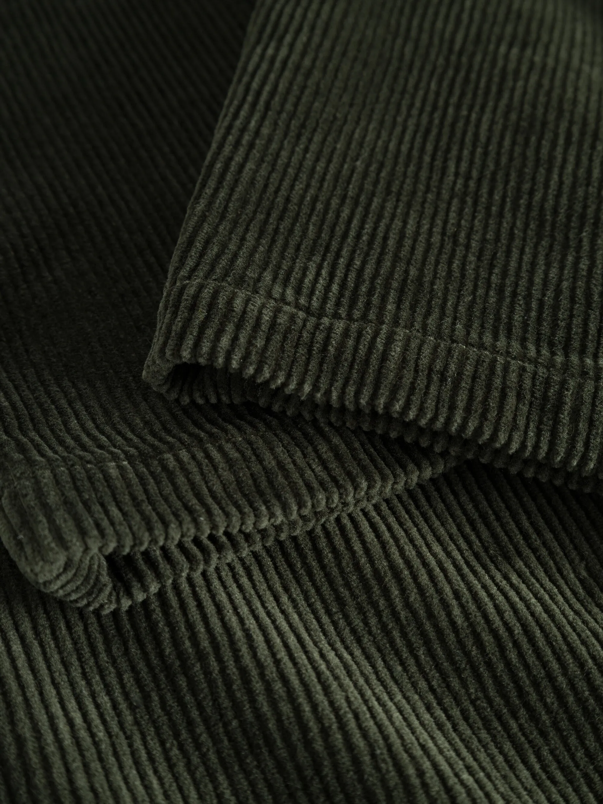 CHUCK regular 8-wales corduroy chino pants - Forrest Night Knowledge Cotton