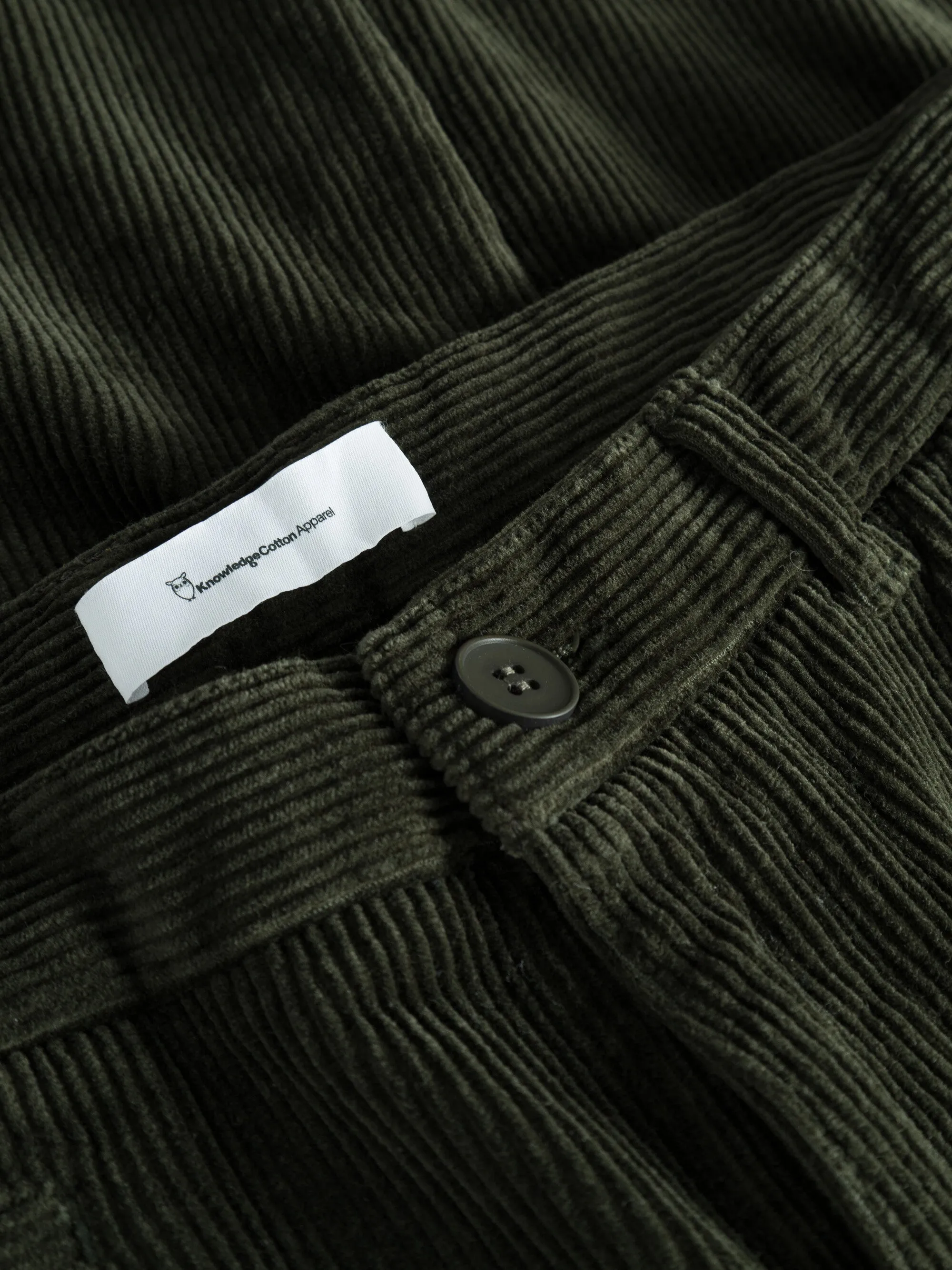 CHUCK regular 8-wales corduroy chino pants - Forrest Night Knowledge Cotton