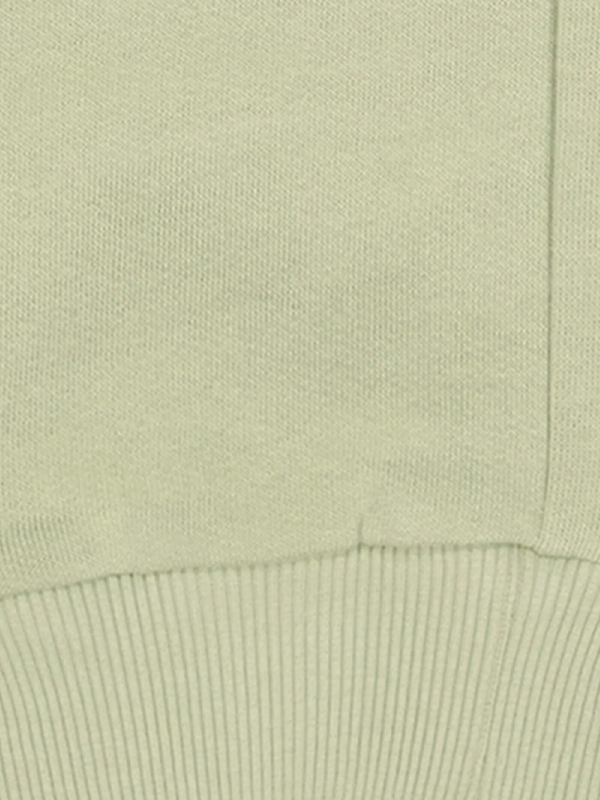 Jog pant - Swamp Knowledge Cotton