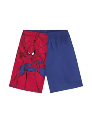 Kids Boy's Graphic Swim Short,Multi
