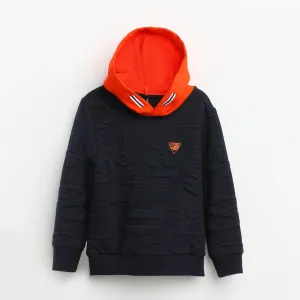 Nanica Lacivert boys sweater