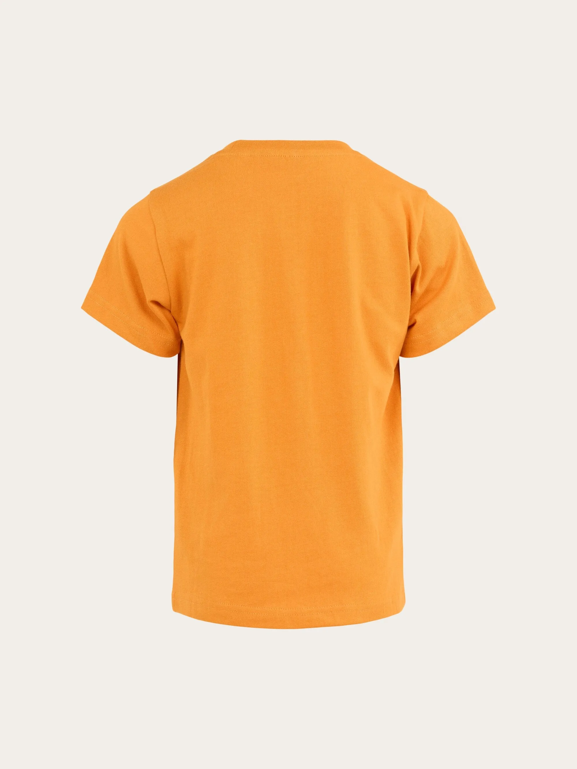 Owl t-shirt - Desert Sun Knowledge Cotton