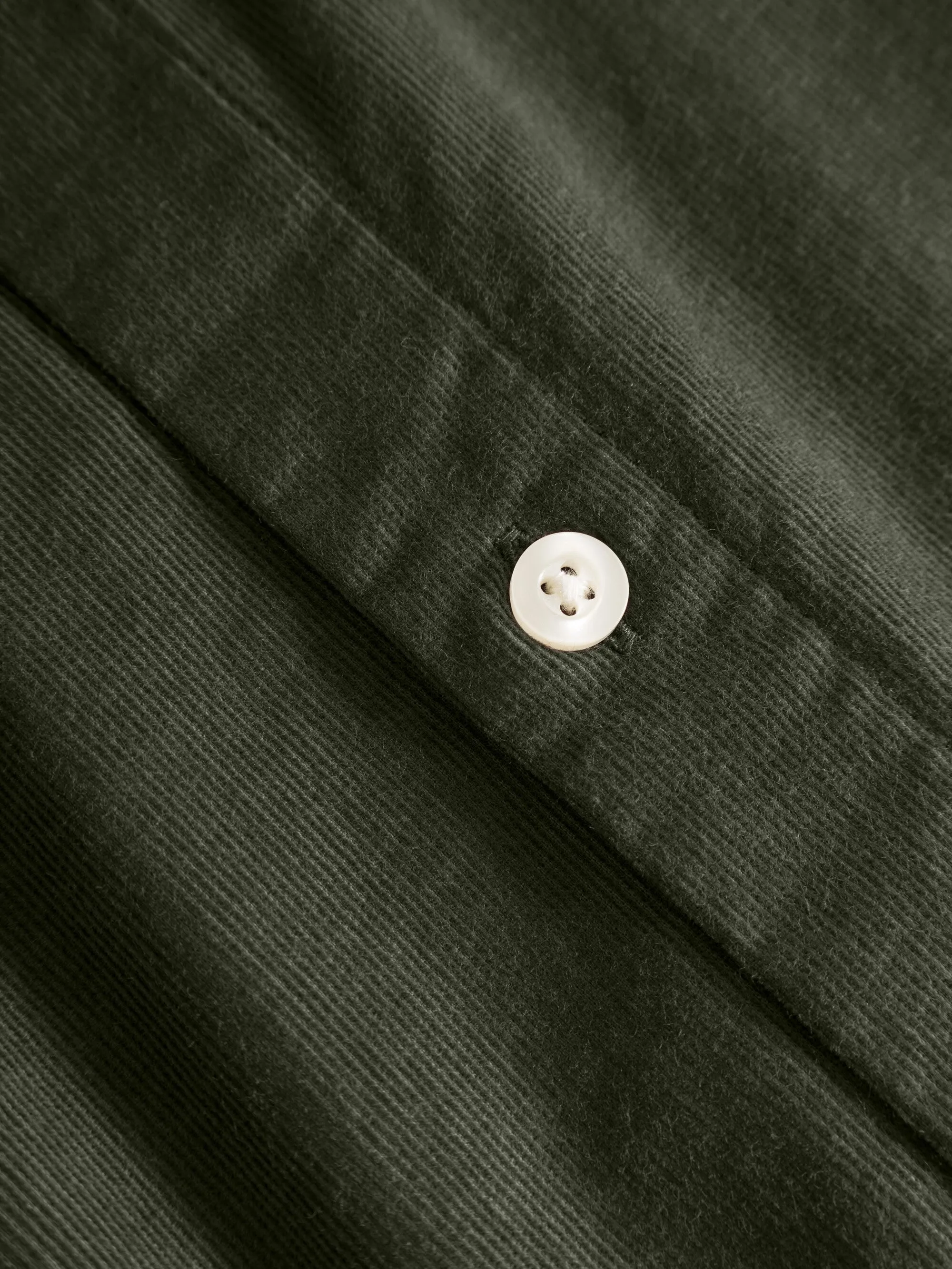 Regular fit corduroy shirt - Forrest Night Knowledge Cotton