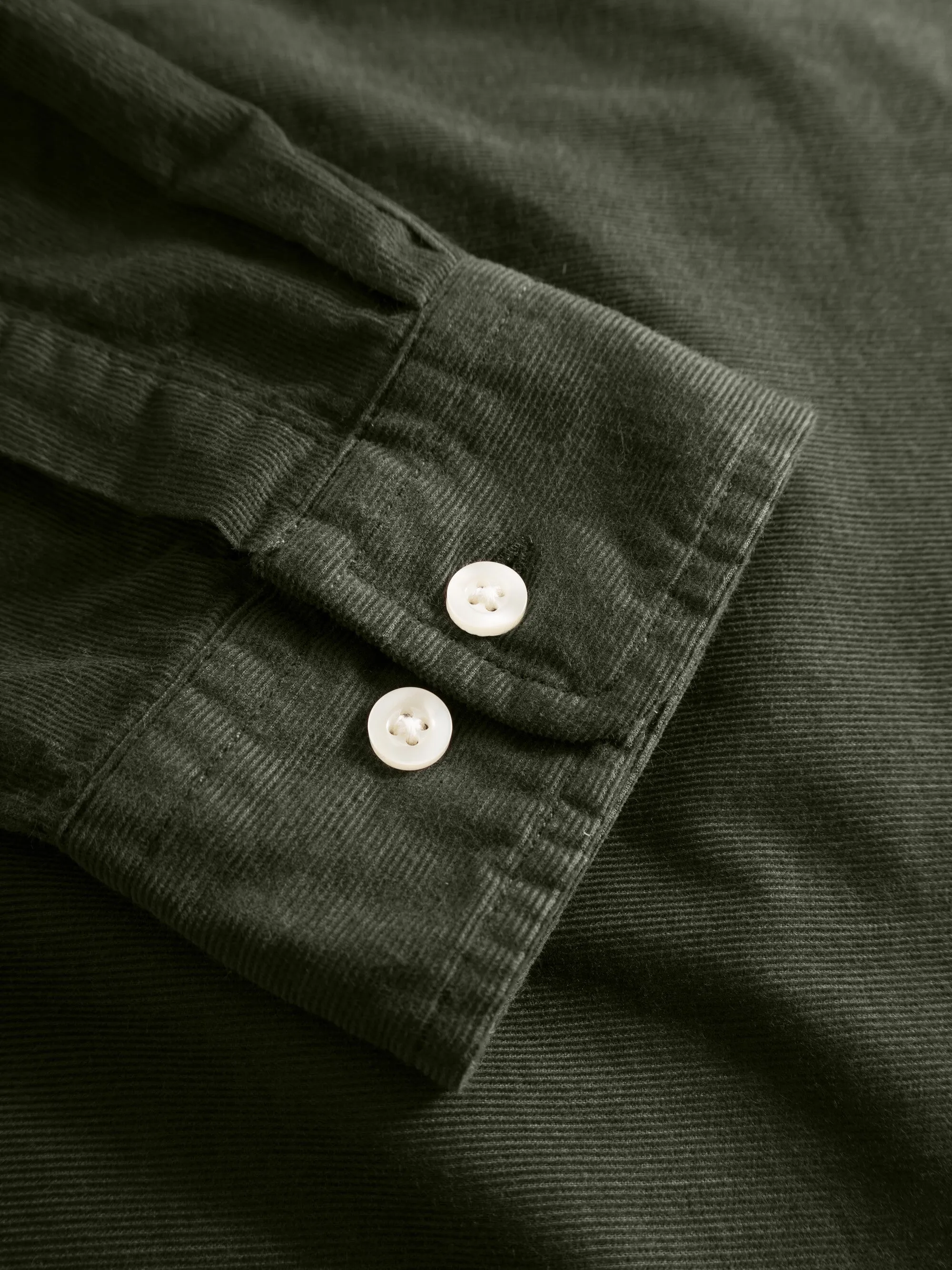 Regular fit corduroy shirt - Forrest Night Knowledge Cotton