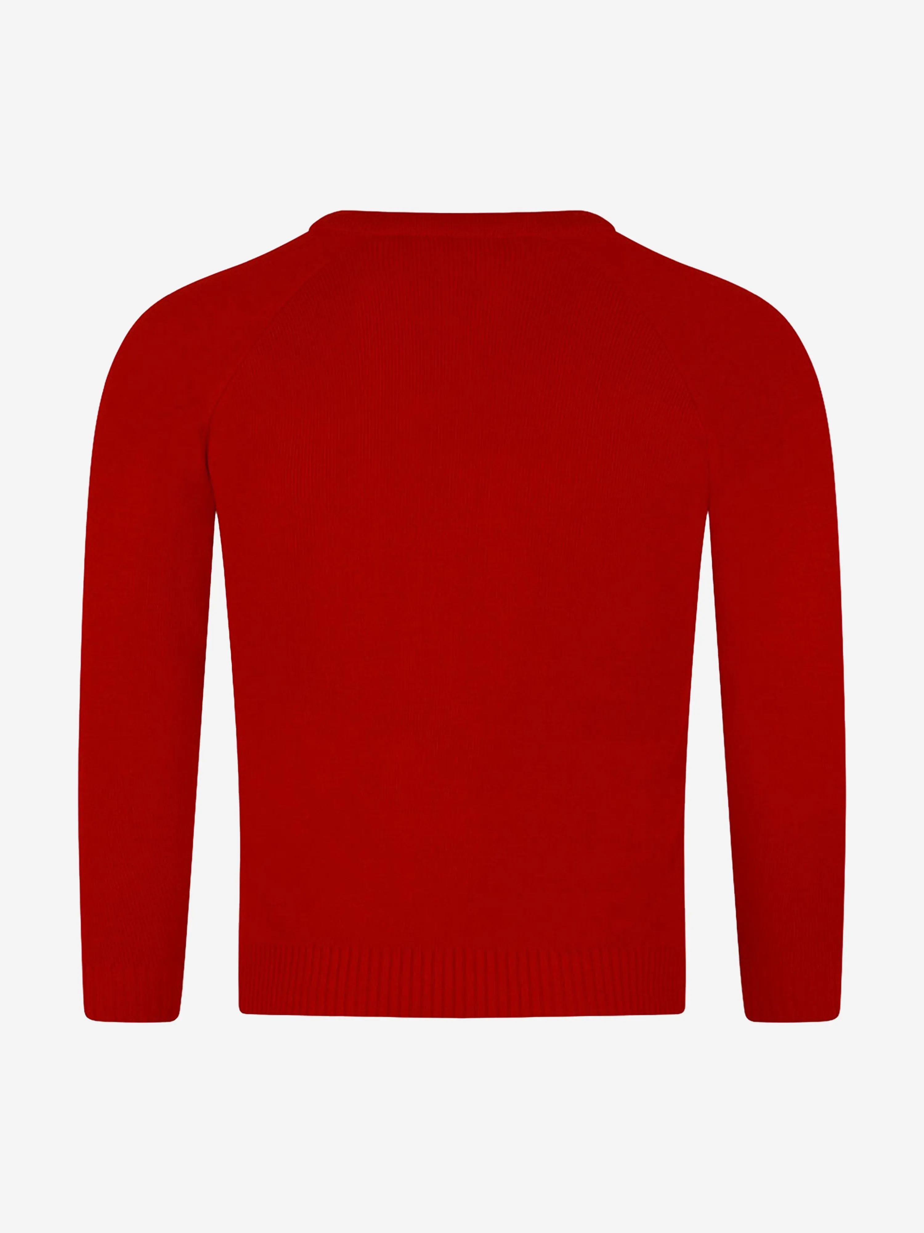 Zeco Kids School Knitted V-Neck Jumper in Red